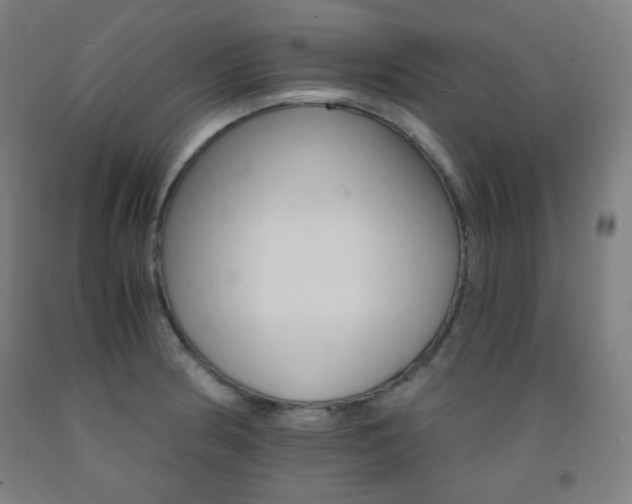X0000093121186200709261007