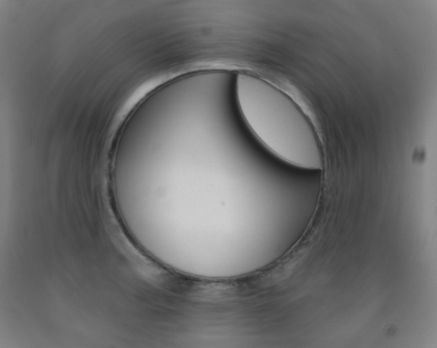 X0000093121187200709261007