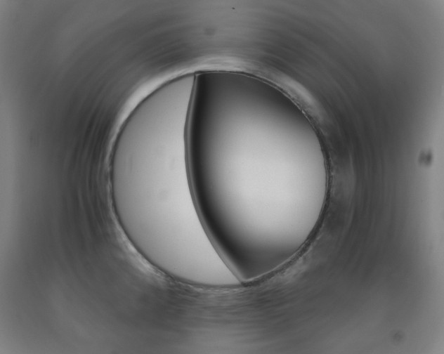 X0000093121192200709261007