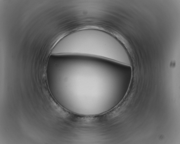 X0000093121193200709261007