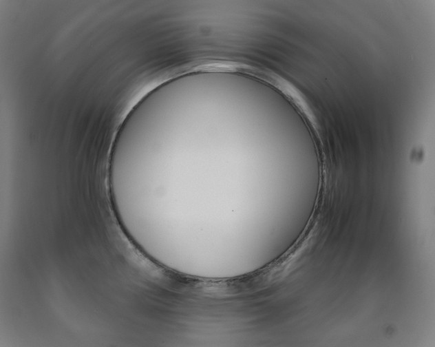 X0000093121194200709261007