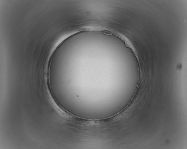X0000093121195200709261007