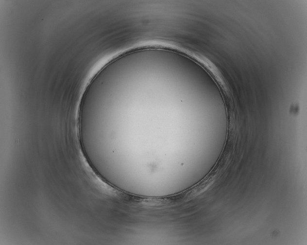 X0000093121199200709261007
