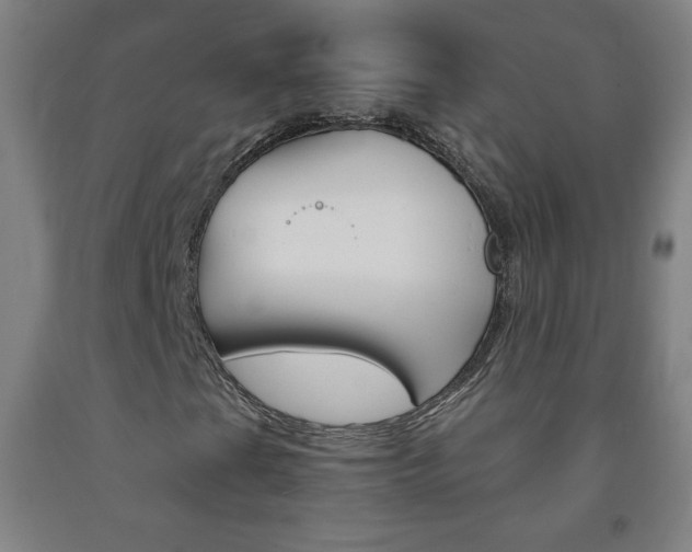 X0000093121201200709261006