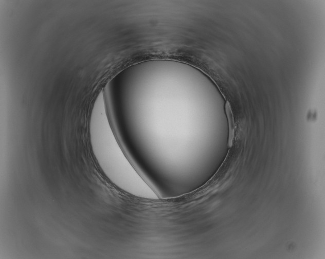 X0000093121202200709261006
