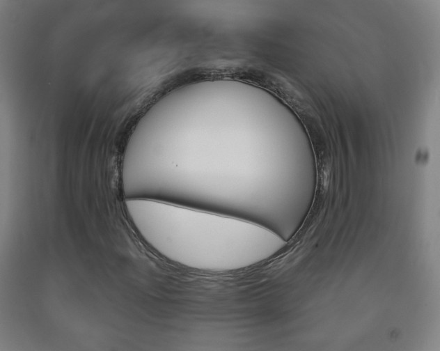 X0000093121204200709261006