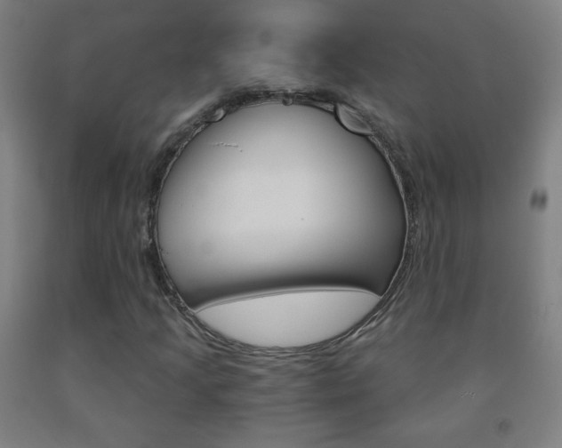 X0000093121205200709261006