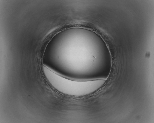 X0000093121206200709261006