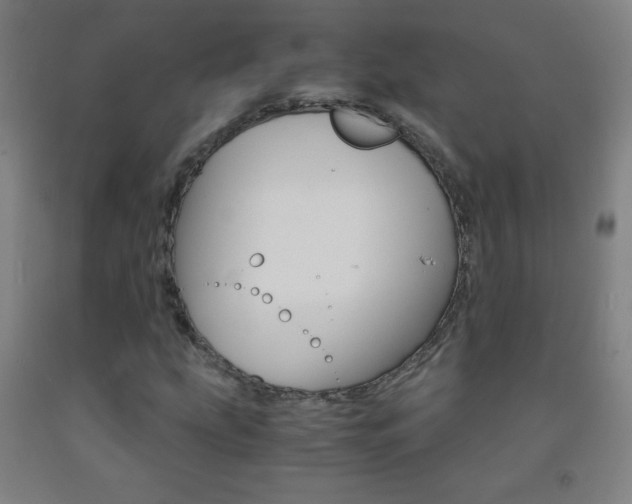 X0000093121207200709261006
