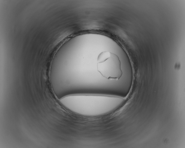 X0000093121209200709261007