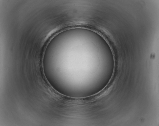 X0000093121210200709261007