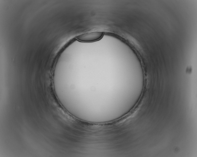 X0000093121212200709261007