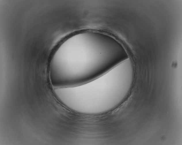 X0000093121214200709261007