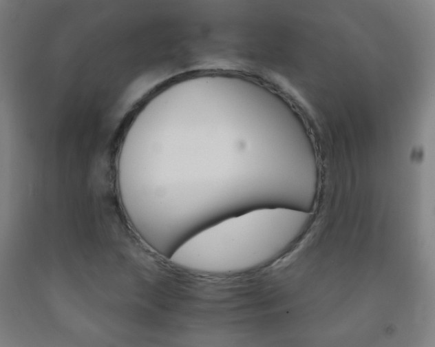X0000093121215200709261007