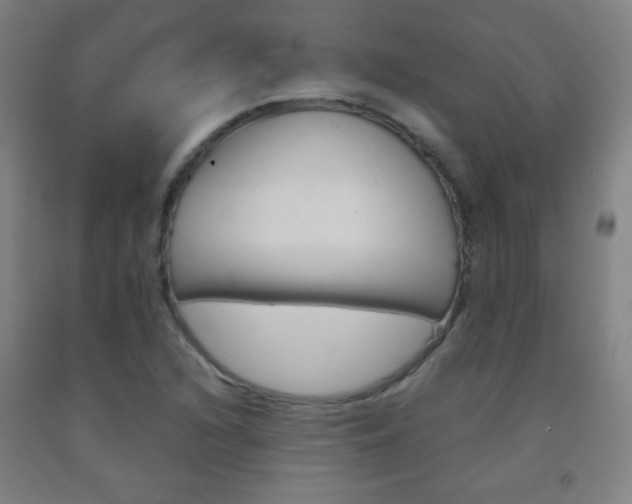 X0000093121216200709261007