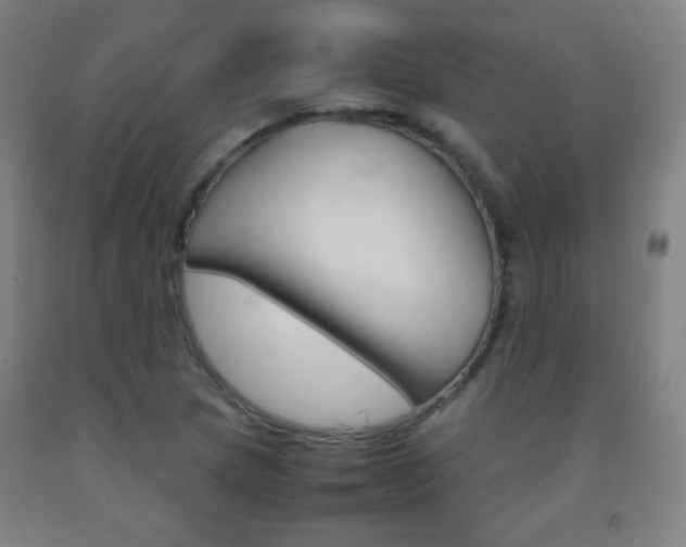 X0000093121217200709261007