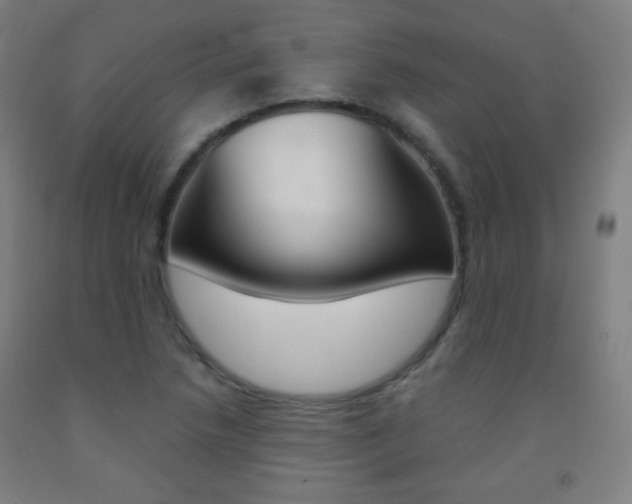 X0000093121218200709261007