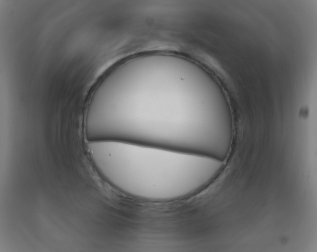 X0000093121220200709261007