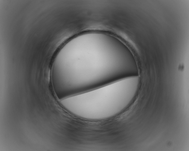 X0000093121221200709261007