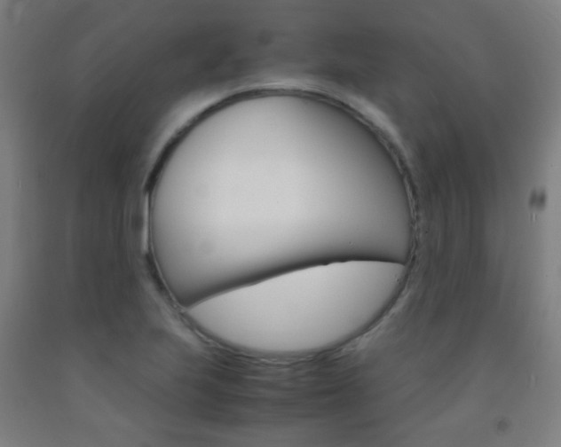X0000093121223200709261007