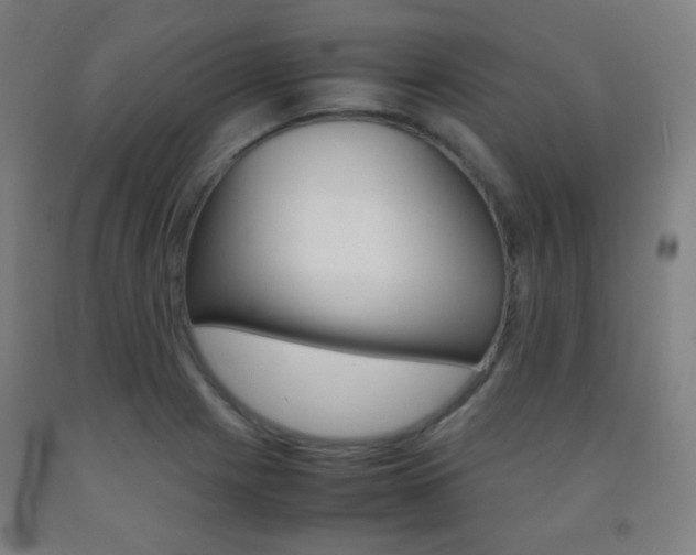 X0000093121225200709261007