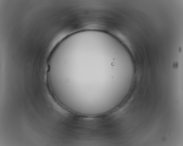 X0000093121227200709261007