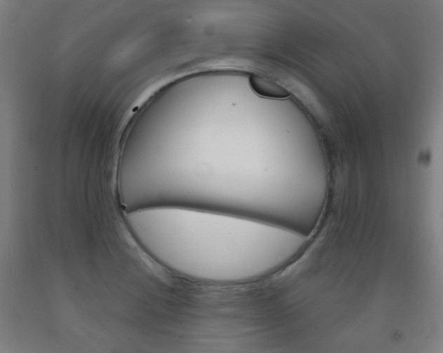 X0000093121228200709261007