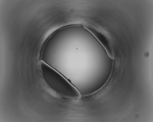 X0000093121230200709261007