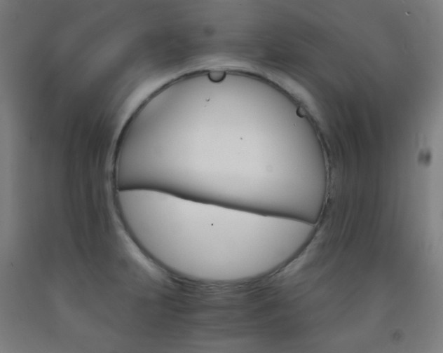 X0000093121231200709261007