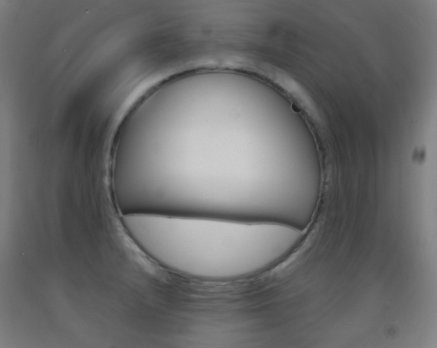 X0000093121232200709261007