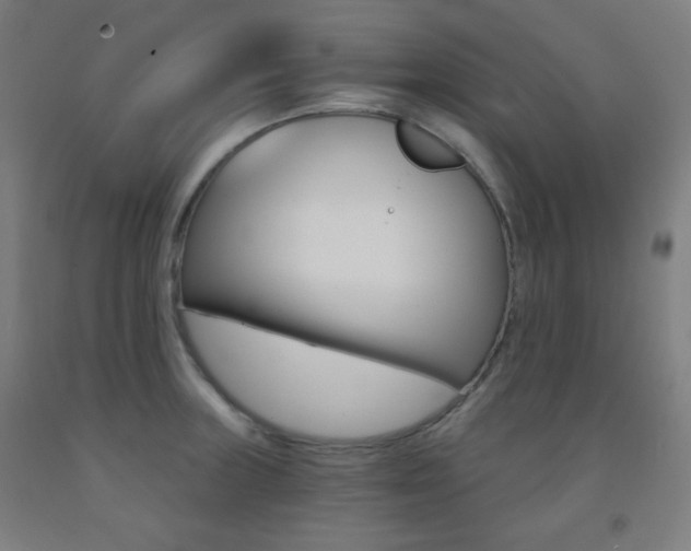 X0000093121235200709261007