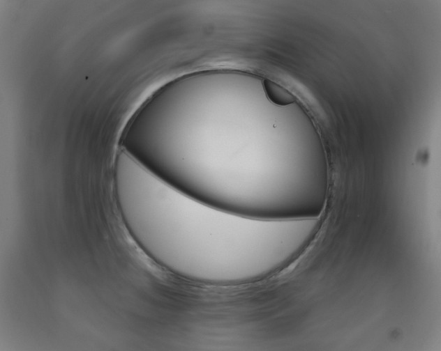 X0000093121236200709261007