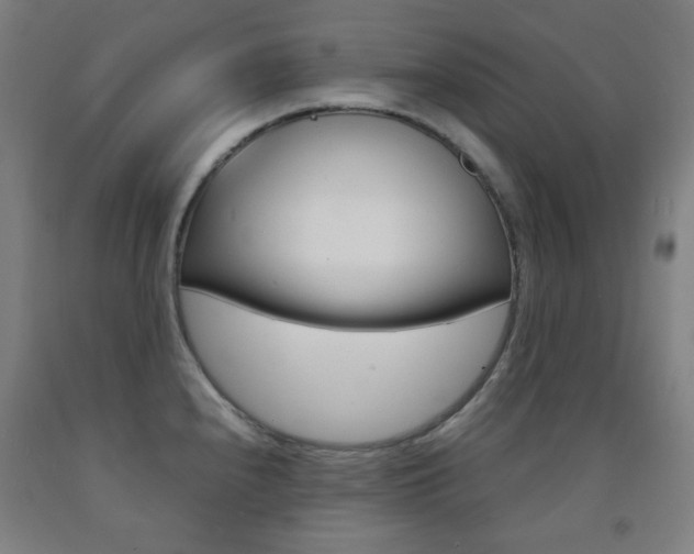 X0000093121240200709261007