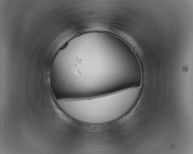 X0000093121241200709261007