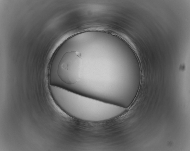 X0000093121243200709261007