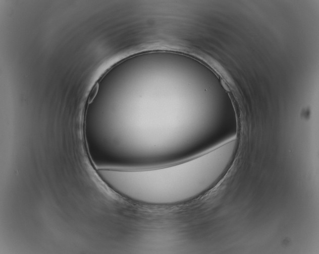 X0000093121246200709261007