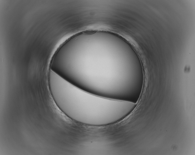 X0000093121248200709261007