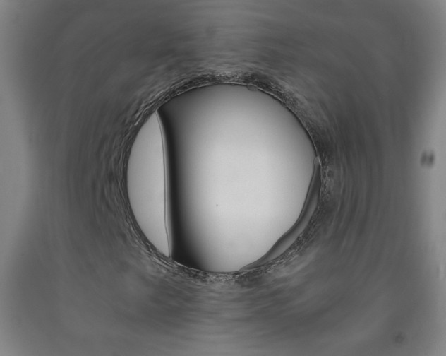 X0000093121249200709261006