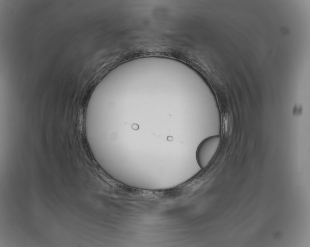 X0000093121251200709261006