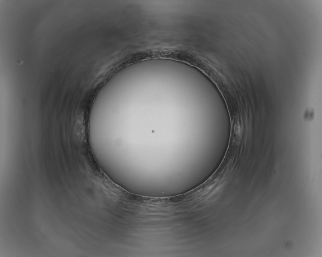 X0000093121252200709261006