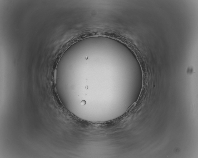 X0000093121253200709261006