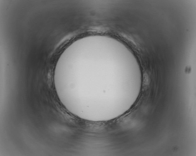 X0000093121254200709261006