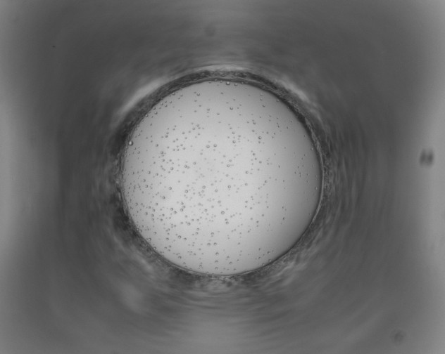 X0000093121255200709261006