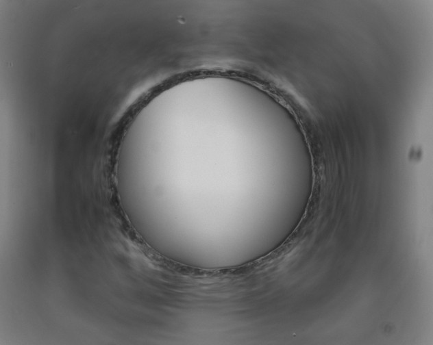X0000093121256200709261006