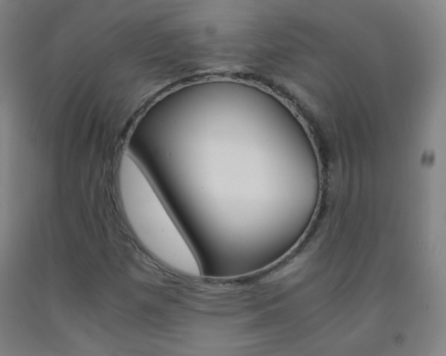 X0000093121257200709261006