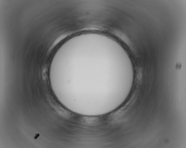 X0000093121258200709261006