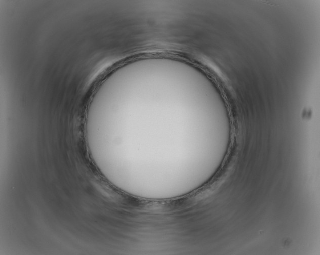 X0000093121259200709261006