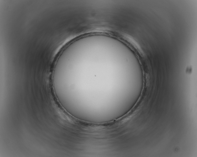 X0000093121260200709261006