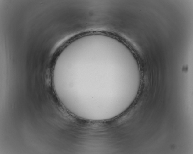 X0000093121262200709261006