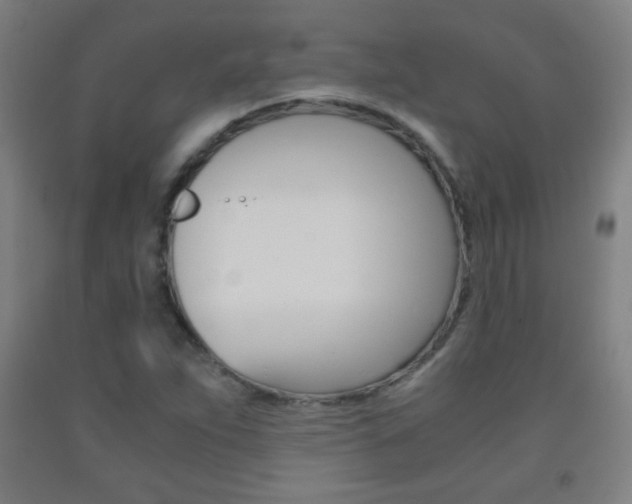 X0000093121263200709261006